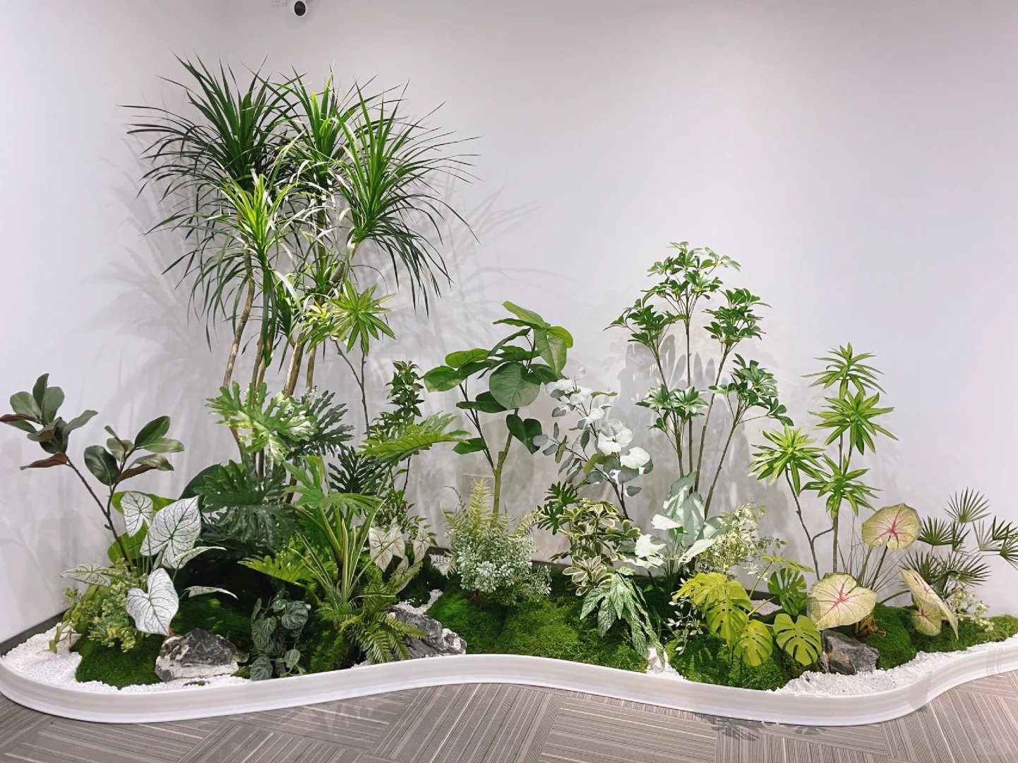 海曙花卉租赁品种-余姚花卉租摆费用-杭州湾花卉租赁合同范本-鄞州办公室植物租赁店